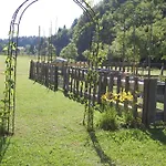 여관 Martinihof 2*