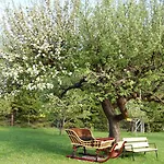 Martinihof 2*